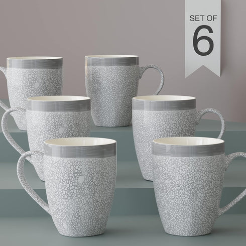 Grey Fizz Coffee Mug (Set of 6)